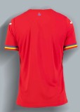 Fan Version | 24/25 Romania Away Jersey Man