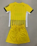 24/25 Brighton & Hove Albion Away Albion Kids Kit