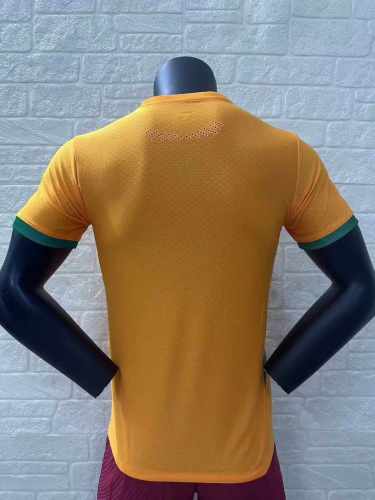 Player Version | 24/25 Ivory Coast Home Jersey