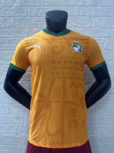 Player Version | 24/25 Ivory Coast Home Jersey