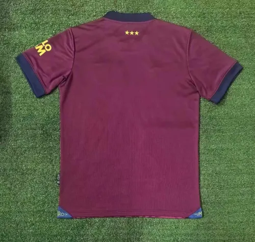 Fan Version  | 24/25 Ipswich City FC Away Jersey