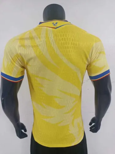Player Version | 24/25 Crystal Palace Away