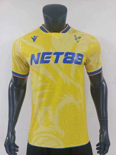 Player Version | 24/25 Crystal Palace Away