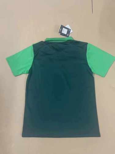Fan Version | 24/25 Palmeiras Polo Jersey