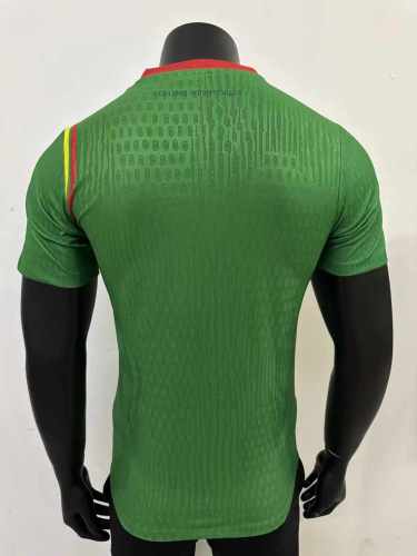 Player Version | 24/25 Cameroon Home Jersey