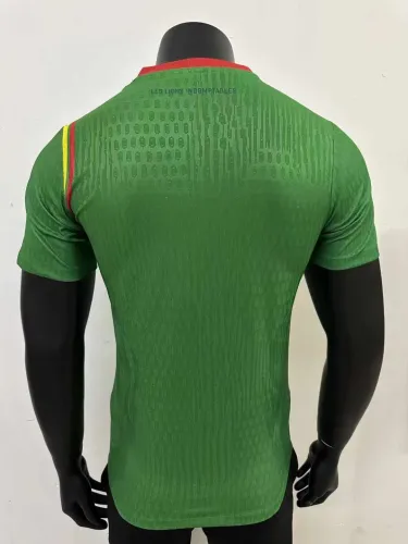 Player Version | 24/25 Cameroon Home Jersey
