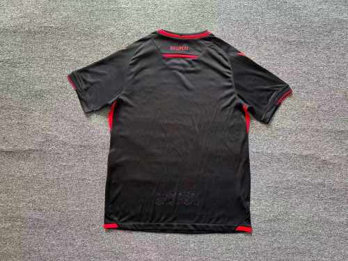 Fan version | 24/25  Albania Third Away Jersey