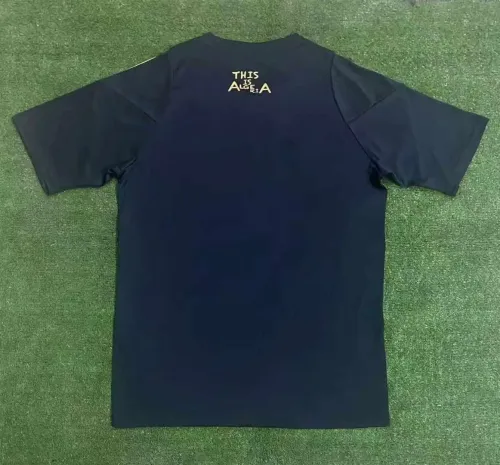 Fan Version |24/25  Algeria training Jersey