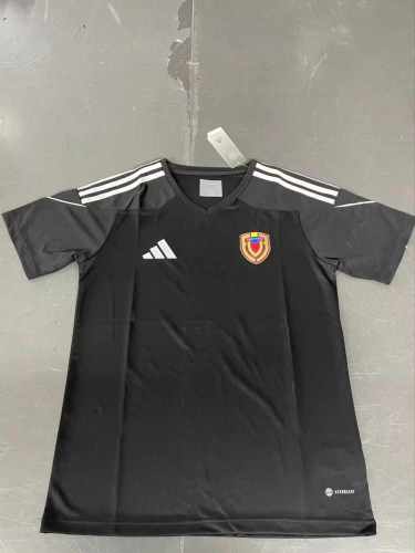 Fan Version | 2024 Venezuela Training Jersey