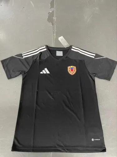 Fan Version | 2024 Venezuela Training Jersey