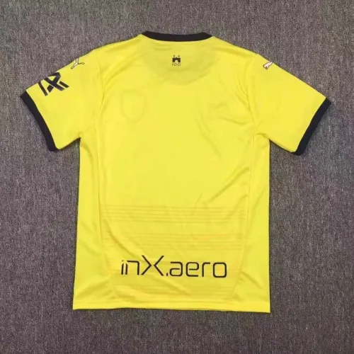 Fan Version |24/25 Parma Third Away jersey