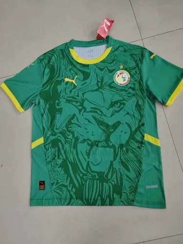 Fan Version | 24/25 Senegal away Jersey