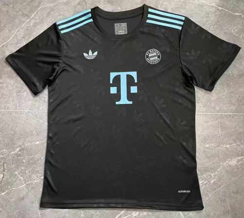 fan version | 24/25 Adult  Bayern goalkeeper