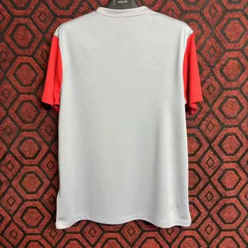 Fan Version | 24/25 FCSB Gray Jersey