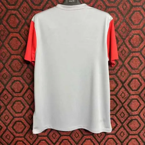 Fan Version | 24/25 FCSB Gray Jersey