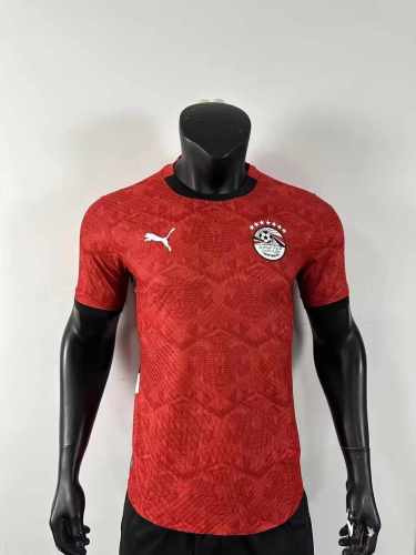 Player Version | 25/26 Egypt Home Jersey