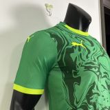 Player Version | 2025 Senegal Away Jersey