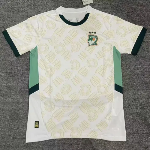 Fan Version | 24/25 Ivory Coast away Jersey
