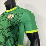 Player Version | 2025 Senegal Away Jersey