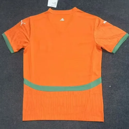 Fan Version | 24/25 Ivory Coast Home Jersey