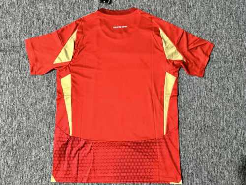 Fan Jersey | 24/25 Al Ahli Home Jersey