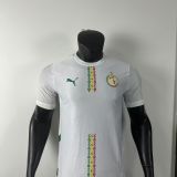 Player Version | 2025 Senegal Home Jersey