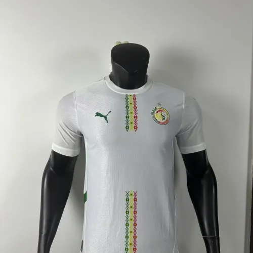 Player Version | 24/25 Senegal Home Jersey