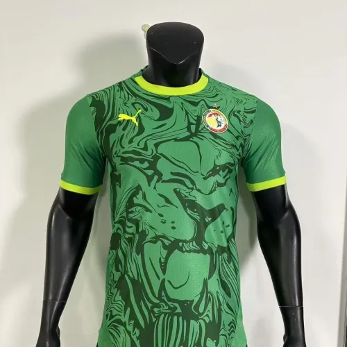 Player Version | 24/25 Senegal Away Jersey