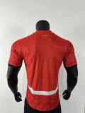 Player Version | 25/26 Egypt Home Jersey