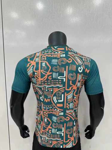 Player Version | 24/25 Ivory Coast Pre-match  Jersey