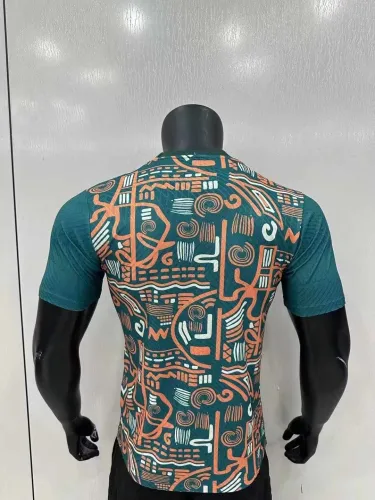 Player Version | 24/25 Ivory Coast Pre-match  Jersey