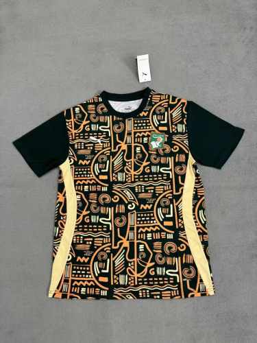 Fan Version | 25/26 Ivory Coast Training Jersey