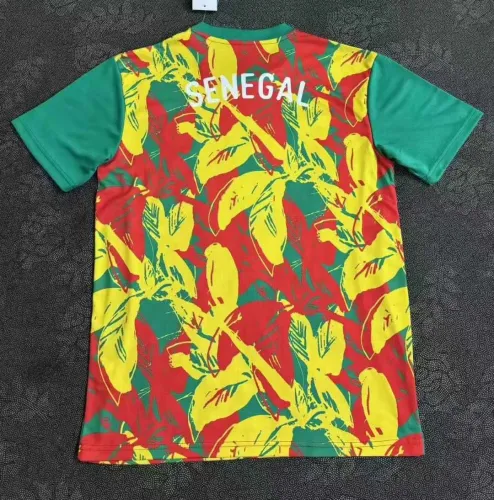 Fan Version | 24/25 Senegal Training Jerse
