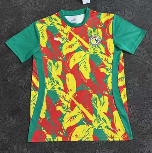 Fan Version | 24/25 Senegal Training Jerse