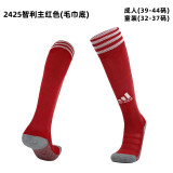 24/25 Club Thai football socks-Adult