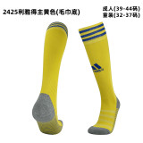 24/25 Club Thai football socks-Kids