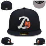 Detroit Tigers Hat