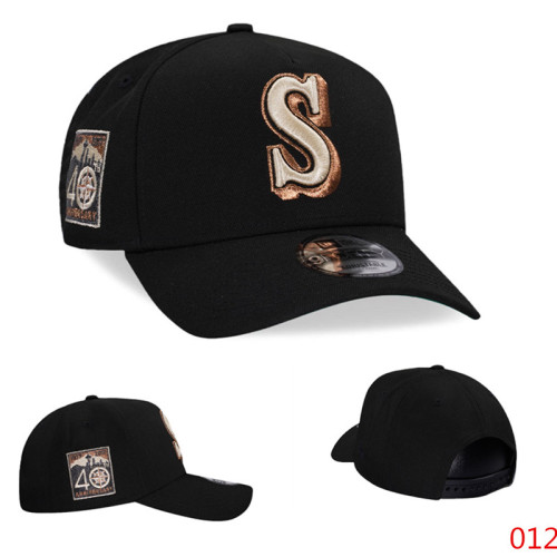 New Adjustable Cap