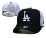 Los Angeles Dodgers Adjustable Hat Various Colors
