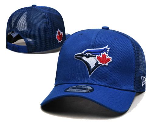 New Adjustable Cap