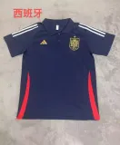 24/25 Spain Polo shirt