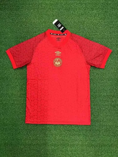 Fan Version | 24/25 Bournemouth Special Edition