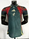 Players Version | 25/26 Mexico Special edition
