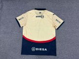 25/26 Cerro Porteno Away Jersey | Fan Version