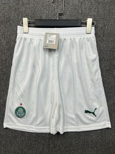 25/26 Palmeiras Home Shorts player