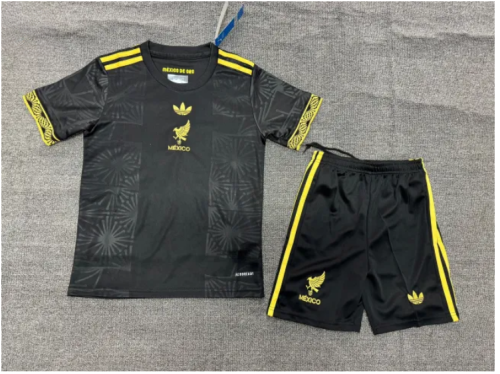 25/26 Mexico Gold kids kit