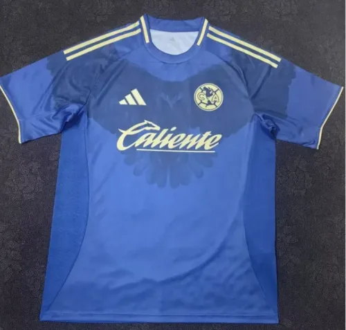 25/26 America Away Man Jersey | Fan vesion