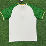 25/26 Ireland Third Away | Fan Version