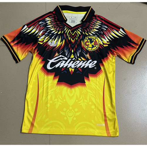 25/26 America Special Edition Man Jersey | Fan vesion