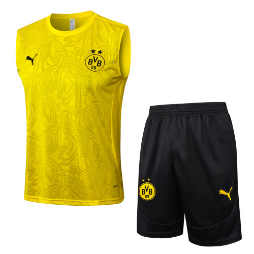 2025 Borussia Dortmund Adult Training Vest Set